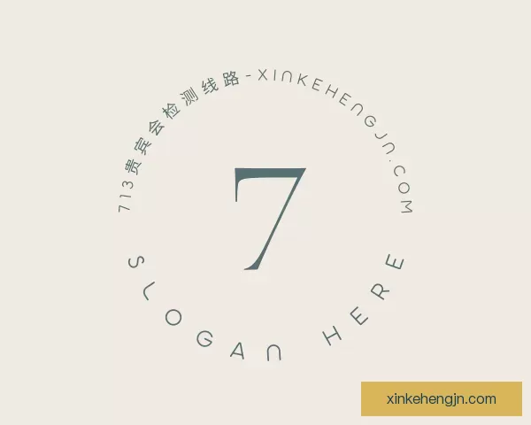 发现漏洞713贵宾会检测线路